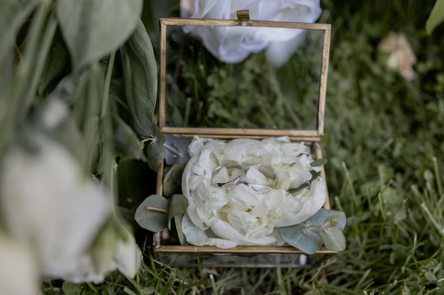 Foto anéis de casamento de ouro em uma mesa de cerimônia