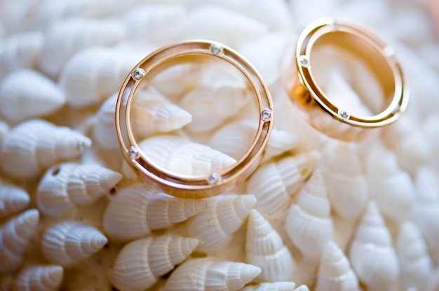 Foto anéis de casamento para noivado da noiva e do noivo