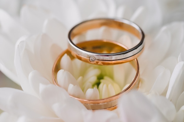 Foto anéis de ouro para casamento em luz suave