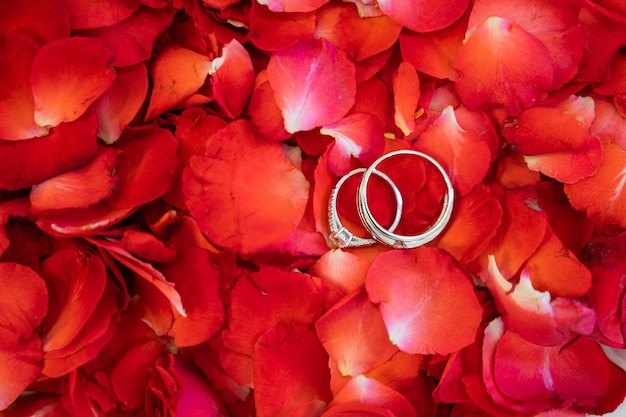 anel de casamento jóias de casamento tailandês noivado de casamento