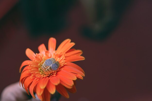 Anel de noivado de ouro na flor