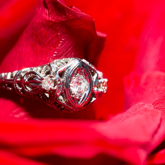 Anel de platina com um diamante em uma rosa vermelha, close-up