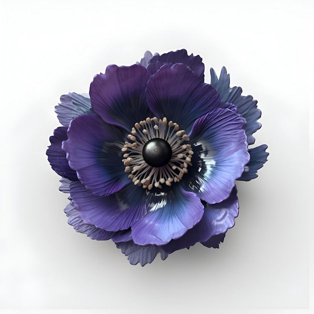Anémona púrpura aislada sobre un fondo blanco Ilustración 3D