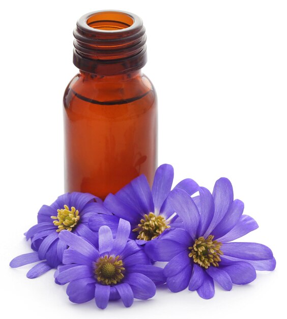 Anemone Blanda Blue Shades oder Grecian Windflowers mit ätherischem Öl in einer Flasche