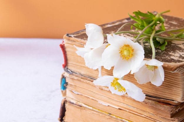 Anemonen Blumenstrauß und Vintage-Bücher Stillleben-Komposition zum Muttertag