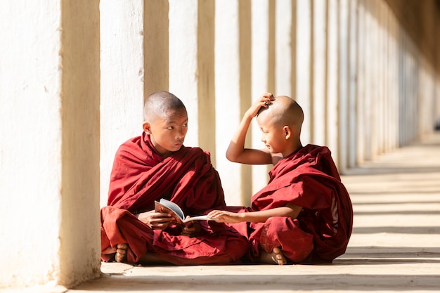 Anfänger des Buddhismus lesen und studieren