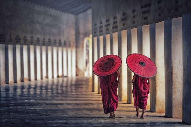 Anfänger des buddhistischen Mönchs, der rote Regenschirme hält und in Pagode, Myanmar geht.