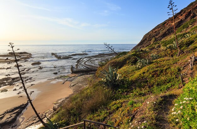 Anfiteatro natural (curvas pedregosas) na praia da carriagem na maré baixa (aljezur, algarve, portugal).