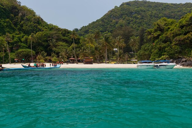 ang thong parque nacional marino isla arena samui angthong fondo marino marin tailandia