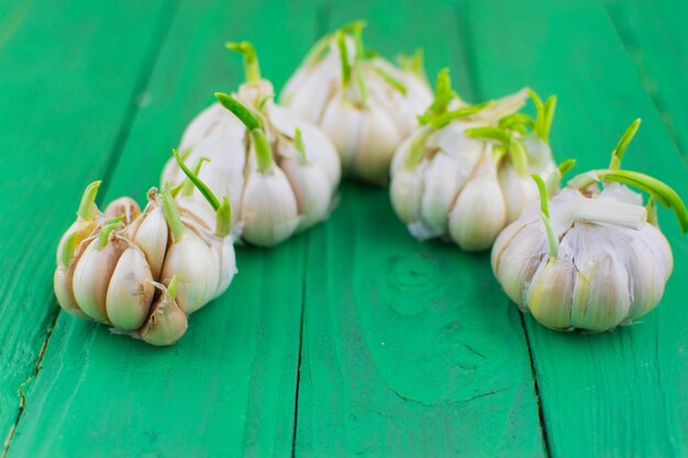 Angebauter Knoblauch auf grünem Holzhintergrund