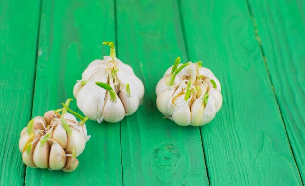 Angebauter Knoblauch auf grünem Holzhintergrund