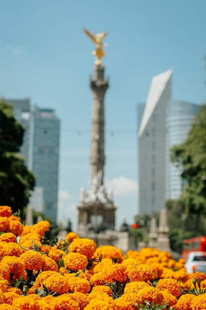 El ángel de la independencia en la ciudad de méxico