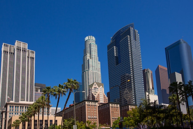 Los Angeles centro de Los Ángeles Pershing Square palmera