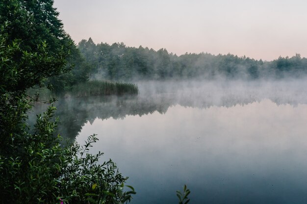 Angelhintergrund. Karpfen angeln. Nebeliger Morgen.