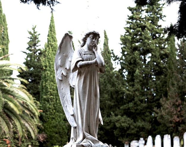 angelito en actitud reflexiva en la tumba