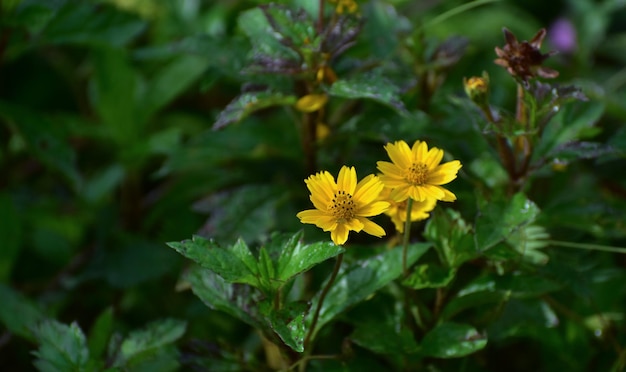 Angesichts der Natur