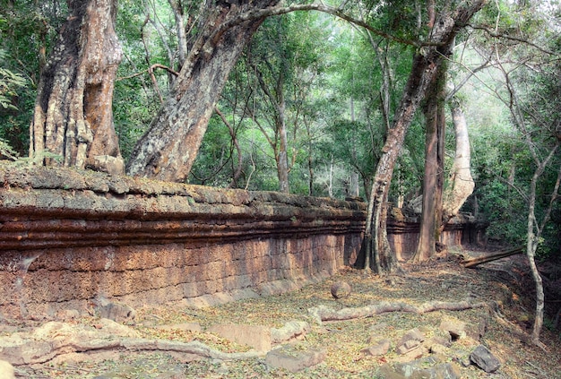 Angkor Wat