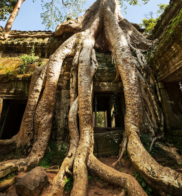 Angkor