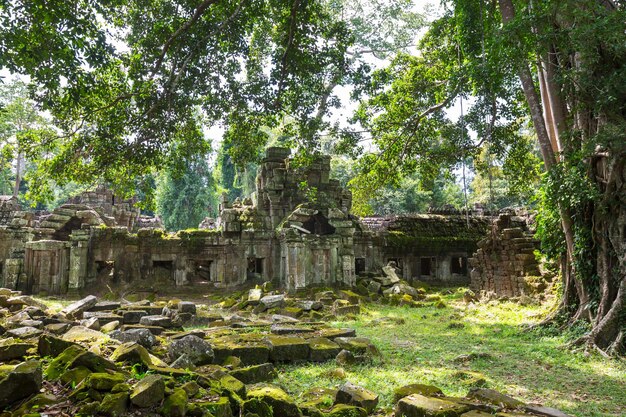 Angkor