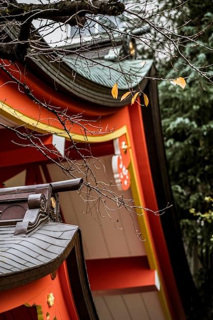 Ângulo baixo do telhado de madeira tradicional japonês