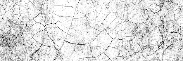Angústia panorâmica Sobreposição Textura Grunge fundo de preto e branco Padrão monocromático de grãos sujos da velha bandeira desgastada