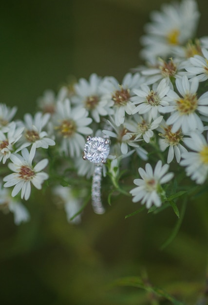 Anillo de bodas en flores blancas