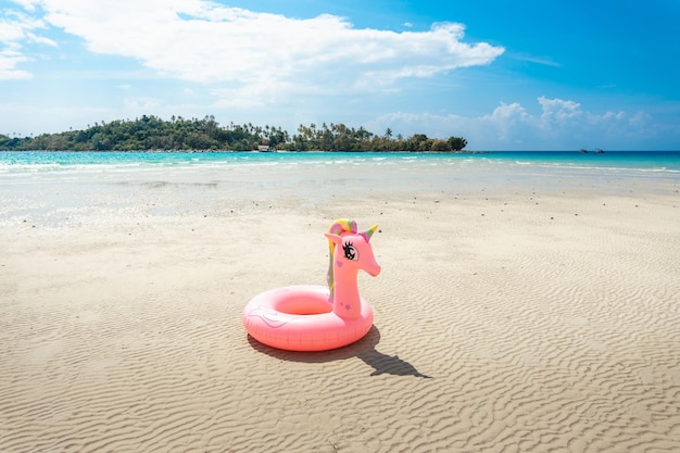 Anillo de goma rosa y paisaje de playa en la isla