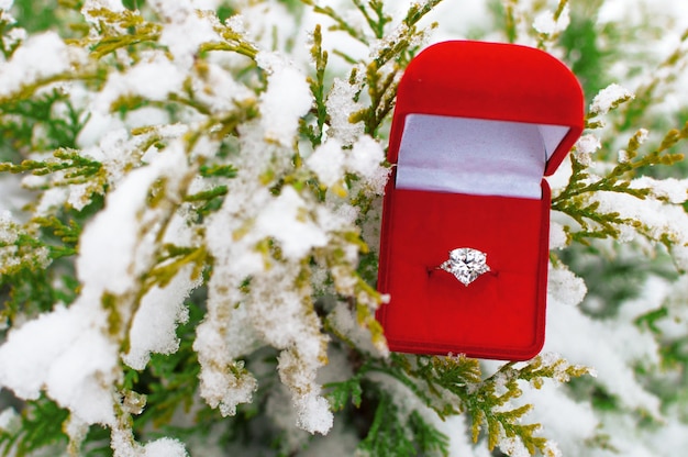 Un anillo con una gran piedra preciosa en una caja roja en las ramas de una tuya en la nieve.