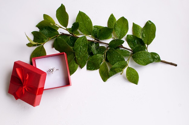 Un anillo con una piedra grande en un recuadro rojo con un lazo junto a una rama verde sobre un fondo blanco.