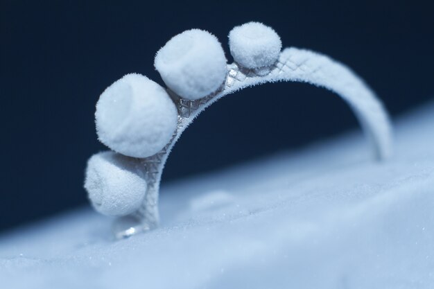 Anillo de plata congelado en un trozo de hielo.