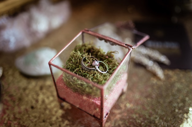 Anillos de boda en una caja de cristal