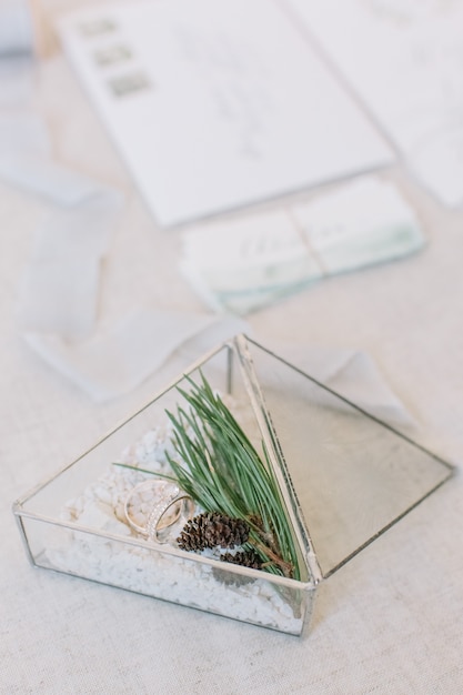 Anillos de boda en la caja triangular de cristal con arena blanca decorada con el pino en la mesa