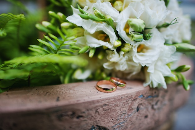 Anillos de boda de compromiso