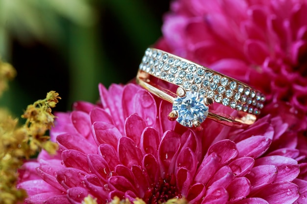 Anillos de boda de diamantes teñidos de rosa y suavizados anillos dalias rosas aman el día de san valentín