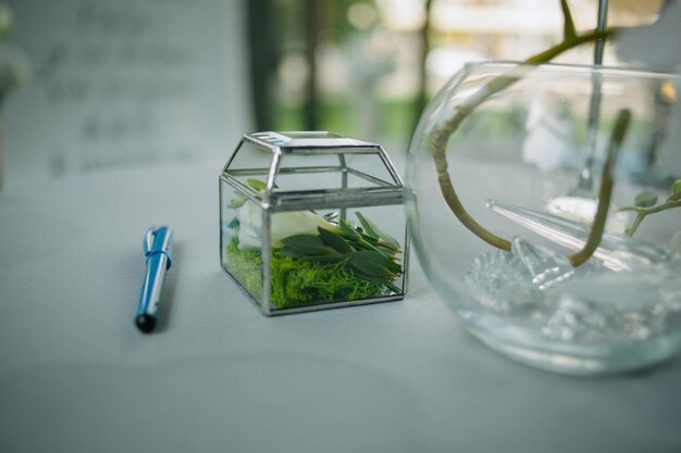 Anillos de boda en flor verde en caja de anillo de vidrio en la mesa blanca. Concepto de boda verde