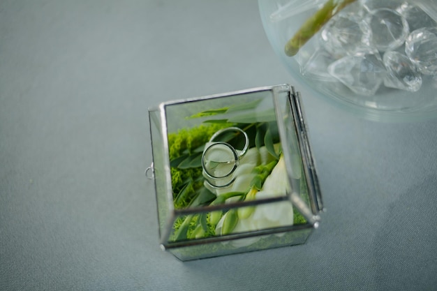 Anillos de boda en flor verde en caja de anillo de vidrio en la mesa blanca. Concepto de boda verde