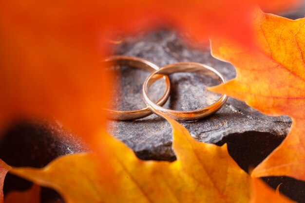 Anillos de boda con hojas doradas de otoño