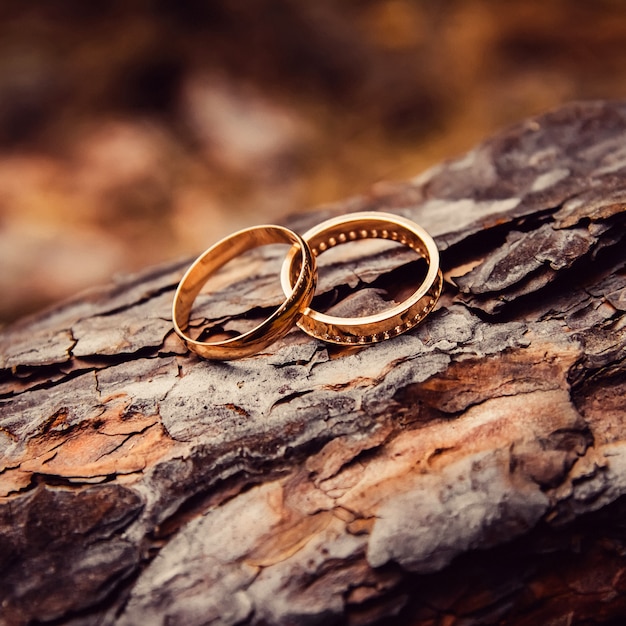 Anillos de boda. Joyas en oro blanco y amarillo. Anillo de bodas en la textura de madera. trozo de madera