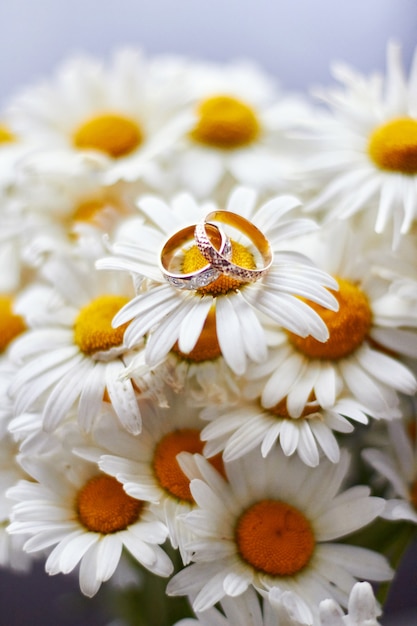 Anillos de boda novio y novia en flores