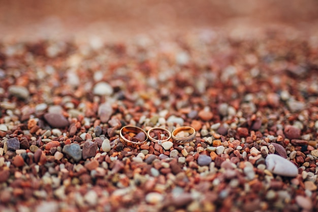 Anillos de boda de novios en guijarros de playa