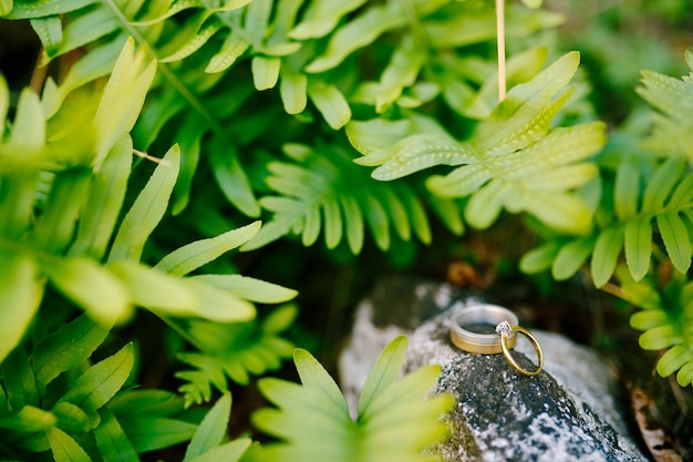 Anillos de boda de oro y un anillo de compromiso sobre una piedra grande sobre un fondo de hojas de helecho verde