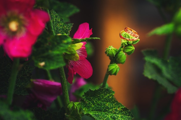 Anillos de boda de oro con flores