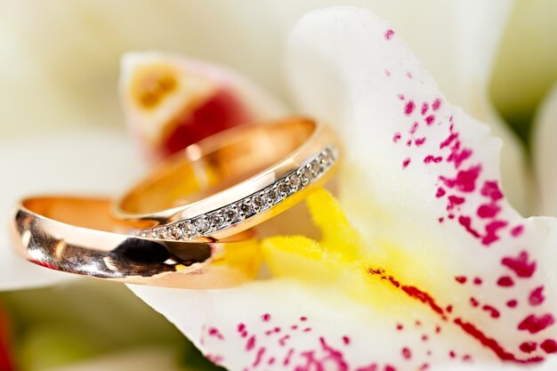 Foto anillos de boda de oro en un ramo de flores para la novia