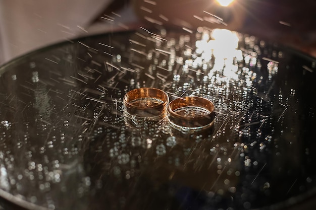 Anillos de boda de los recién casados