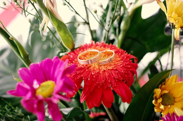 Foto los anillos de boda simbolizan el amor de la familia. un par de anillos de boda simples.