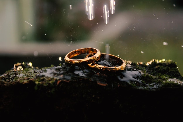 Anillos de boda símbolo amor familia Un par de anillos de boda sencillos