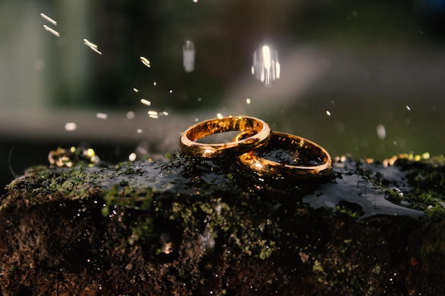 Anillos de boda símbolo amor familia Un par de anillos de boda sencillos