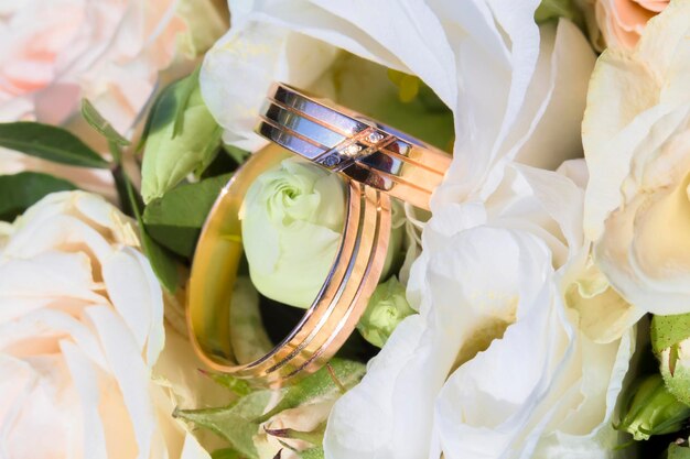 Anillos de boda sobre un fondo de rosas blancas El concepto de matrimonio