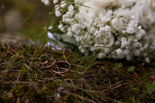 los anillos de boda yacen en la hierba