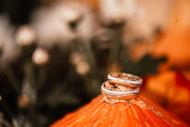 Anillos de bodas de oro Atributos de símbolos de boda Celebración de vacaciones Detalles de boda de concepto Familia feliz Celebración de pareja de matrimonio juntos